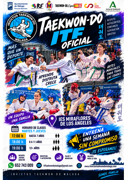 IES Miraflores cartel taekwondo.jpg